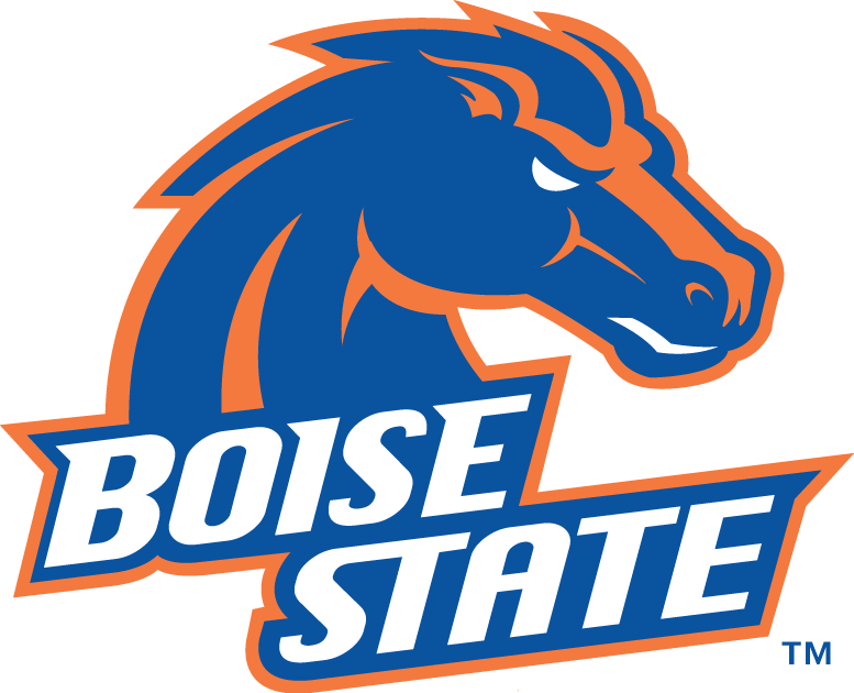 Boise State Broncos 2002-2012 Primary Logo diy fabric transfer